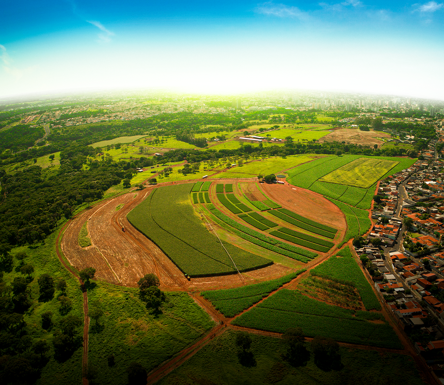 Empresa de irrigação apresenta plano de expansão em Uberaba, Triângulo  Mineiro